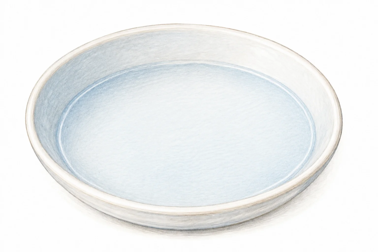Image C : une coupelle blanche peu profonde.